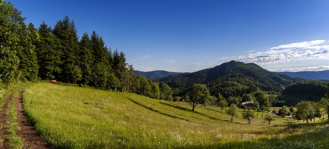 breitenberg, panorama, schwarzwald
