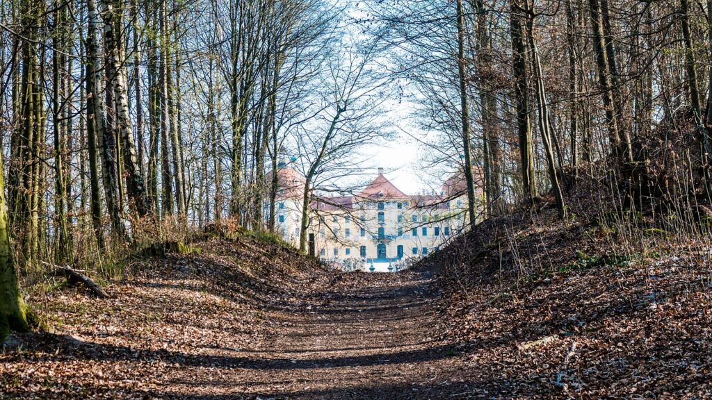 schloss moritzburg, wald, abendlicht