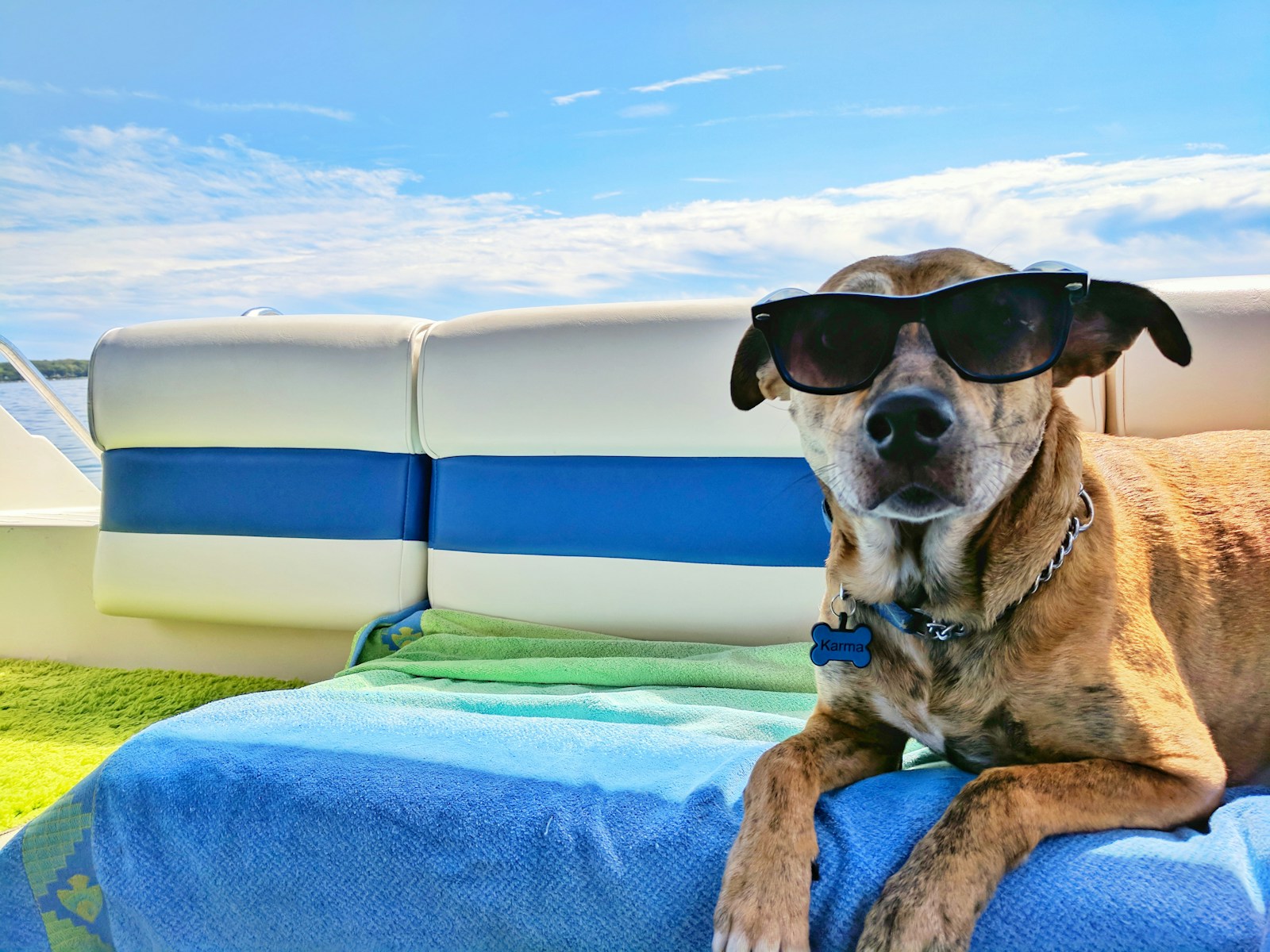 Tipps für stressfreies Reisen mit Hund