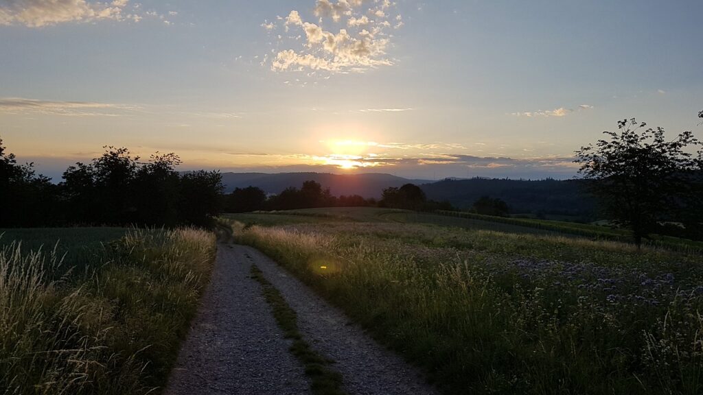 sunrise, lahr, schwarzwald
